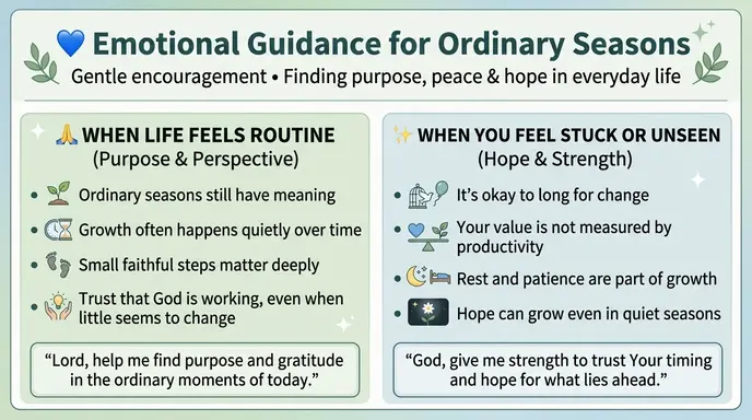 Emotional Guidance for Ordinary Seasons