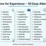 synonyms for experience list