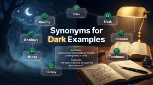 syninyms for dark examples